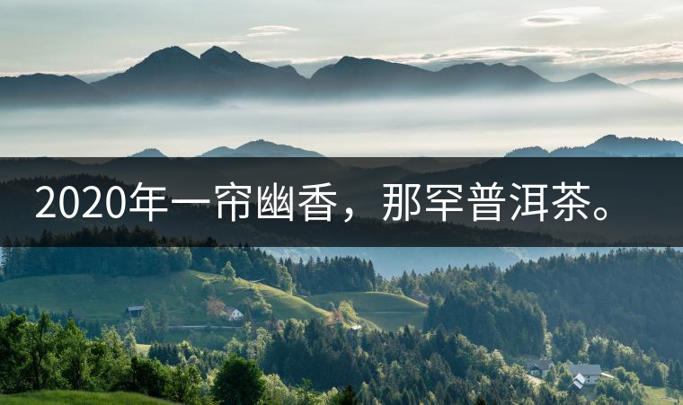 2020年一簾幽香，那罕普洱茶。-易武中聘號