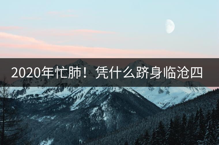 2020年忙肺！憑什么躋身臨滄四大名茶-易武中聘號