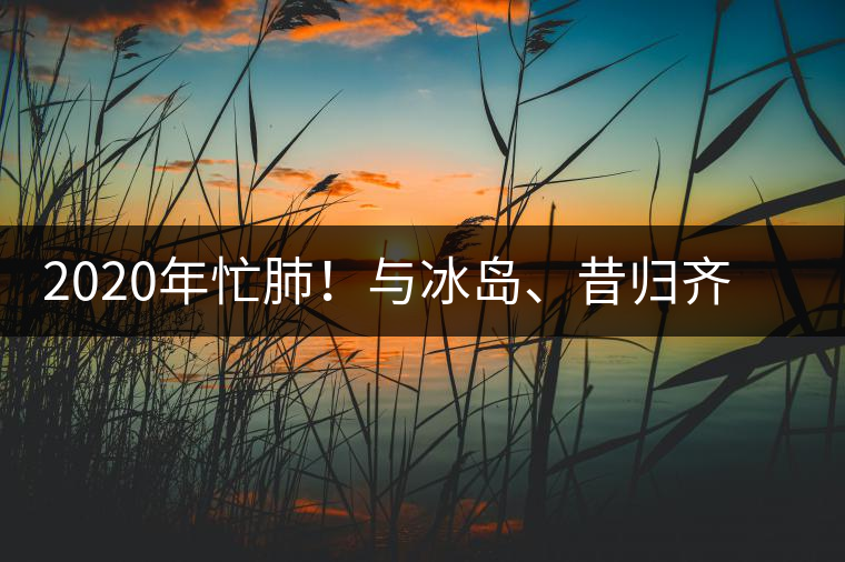 2020年忙肺！與冰島、昔歸齊名的普洱茶，到底是什么味道？-易武中聘號