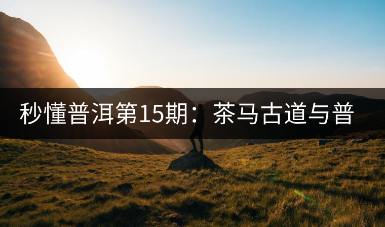 秒懂普洱第15期：茶馬古道與普洱茶有什么聯(lián)系？