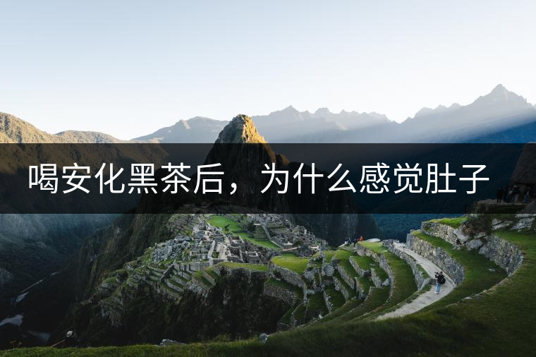 喝安化黑茶后，為什么感覺(jué)肚子餓的快？
