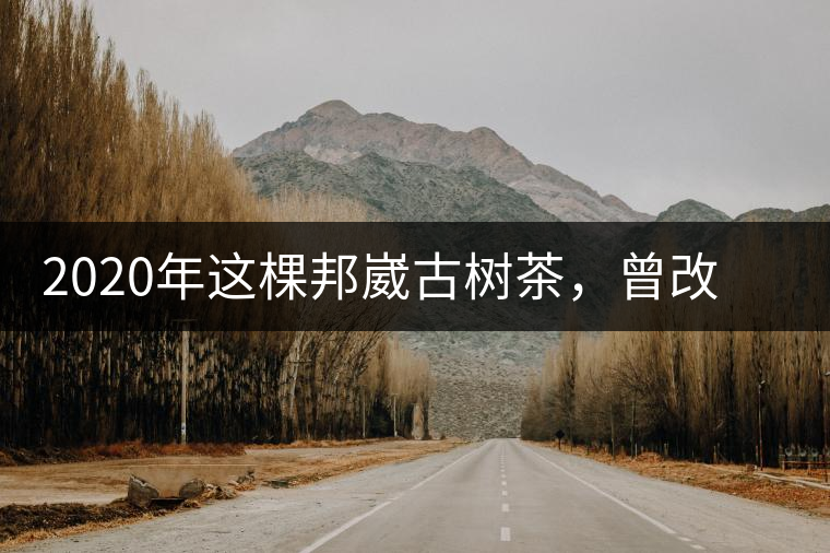2020年這棵邦崴古樹(shù)茶，曾改寫(xiě)普洱茶歷史！-易武中聘號(hào)