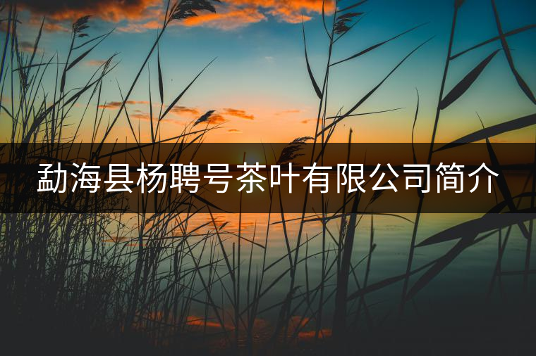 勐?？h楊聘號茶葉有限公司簡介