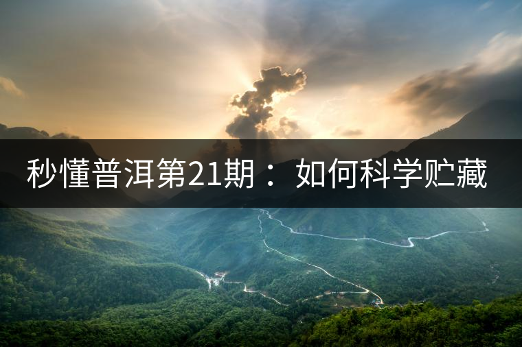 秒懂普洱第21期 ：如何科學(xué)貯藏普洱茶？