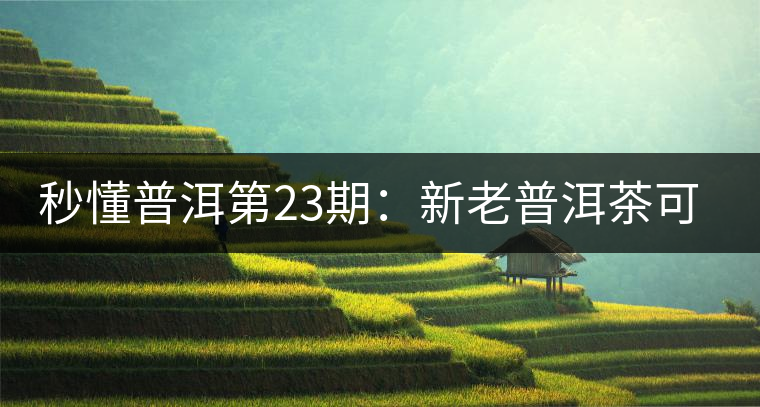 秒懂普洱第23期：新老普洱茶可以放到一起嗎？