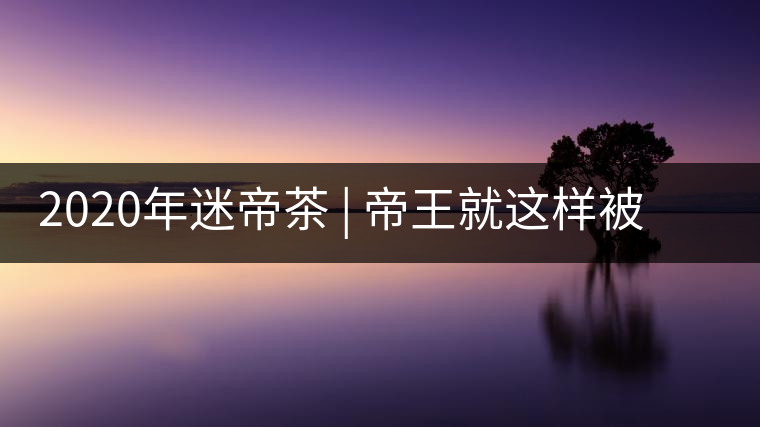 2020年迷帝茶 | 帝王就這樣被迷住了？-易武中聘號(hào)