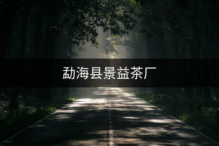 勐?？h景益茶廠