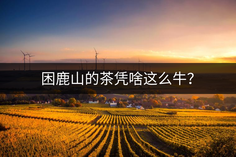 困鹿山的茶憑啥這么牛？