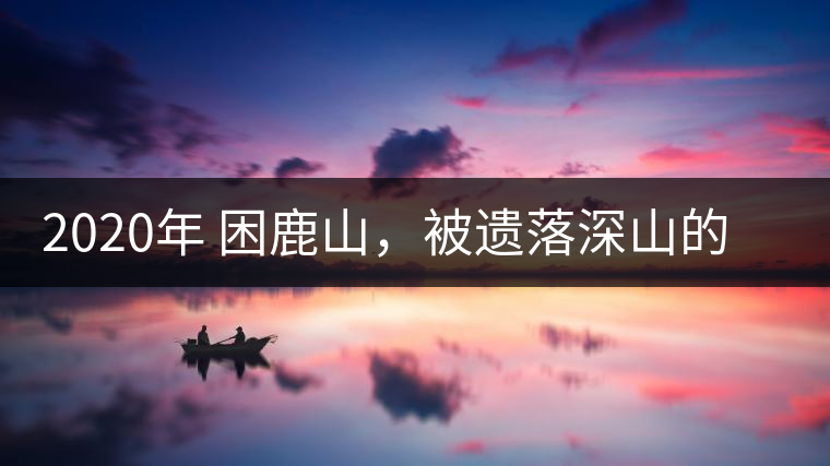 2020年 困鹿山，被遺落深山的皇家古茶園-易武中聘號(hào)