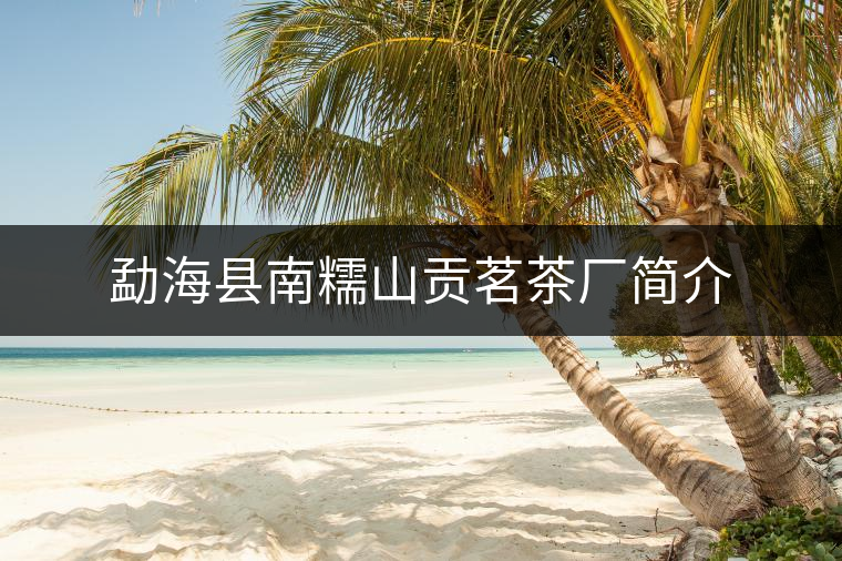 勐?？h南糯山貢茗茶廠簡介
