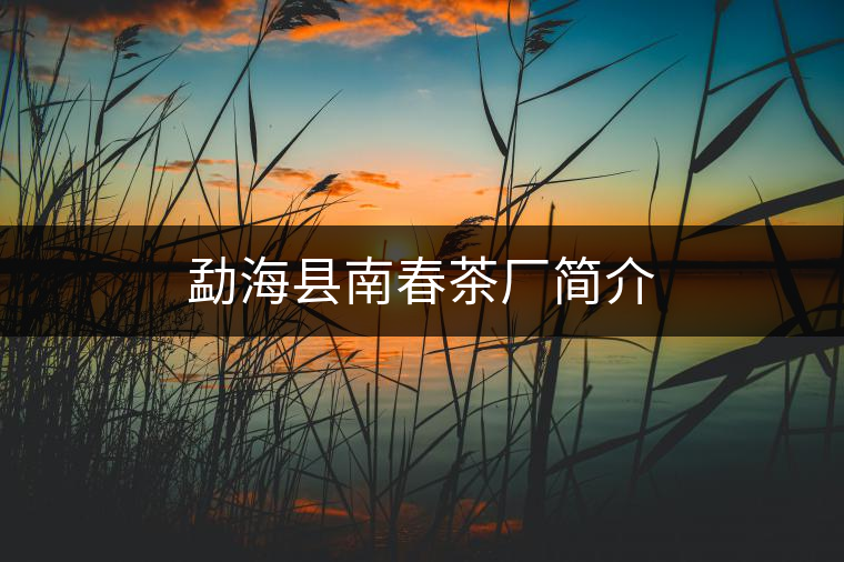 勐?？h南春茶廠簡(jiǎn)介