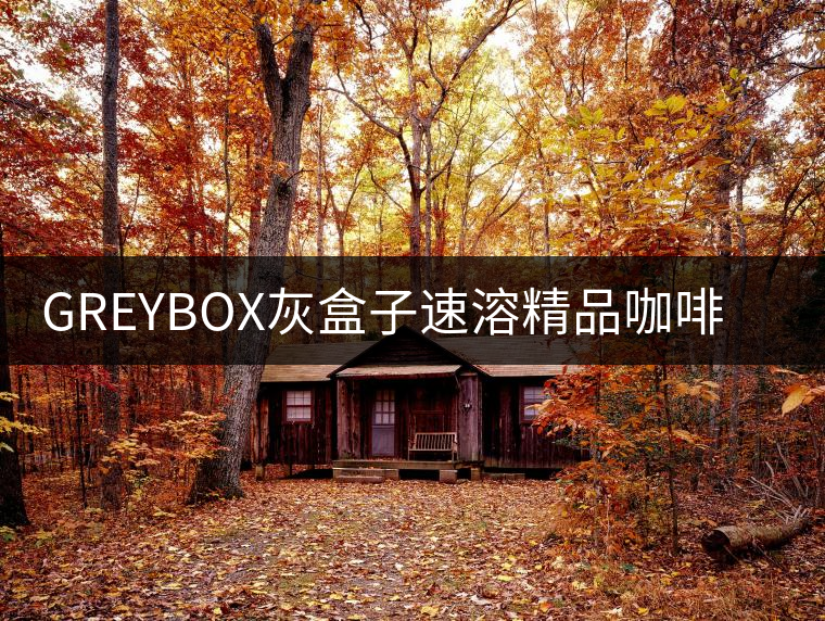 GREYBOX灰盒子速溶精品咖啡凍干拿鐵美式純黑咖啡10顆非普洱咖啡 GREYBOX灰盒子速溶精品咖啡凍干拿鐵美式純黑咖啡10顆非普洱咖啡