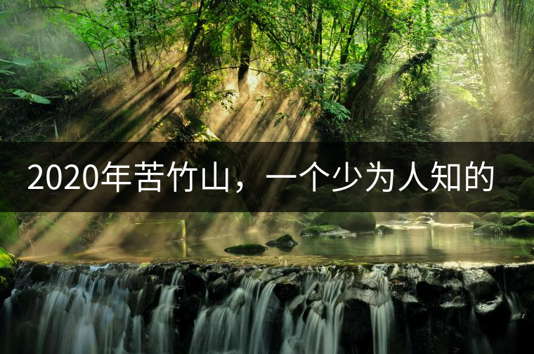 2020年苦竹山，一個少為人知的后起之秀！-易武中聘號