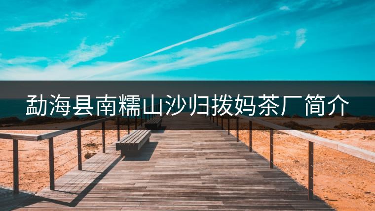 勐?？h南糯山沙歸撥媽茶廠簡介