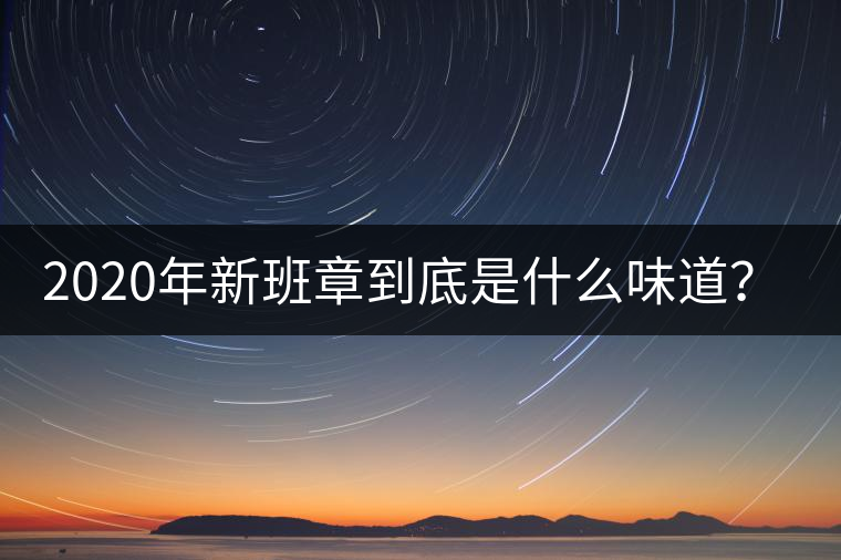 2020年新班章到底是什么味道？-易武中聘號