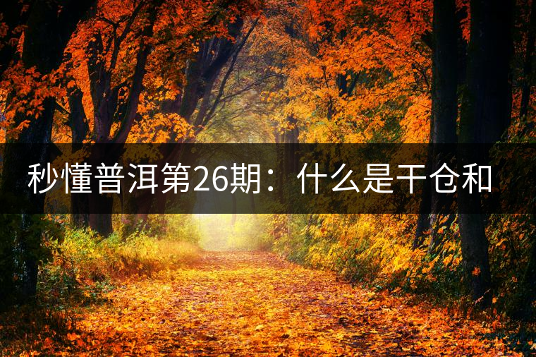 秒懂普洱第26期：什么是干倉和濕倉？
