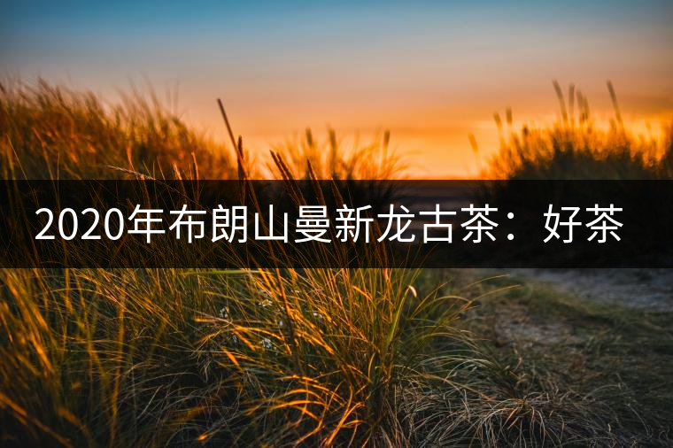 2020年布朗山曼新龍古茶：好茶需細品-易武中聘號