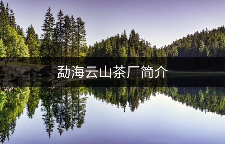 勐海云山茶廠簡(jiǎn)介 勐海云山茶廠簡(jiǎn)介
