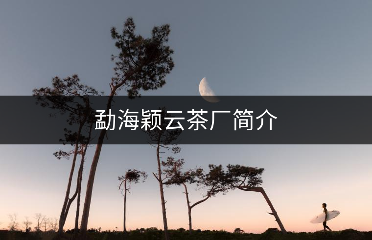 勐海穎云茶廠(chǎng)簡(jiǎn)介