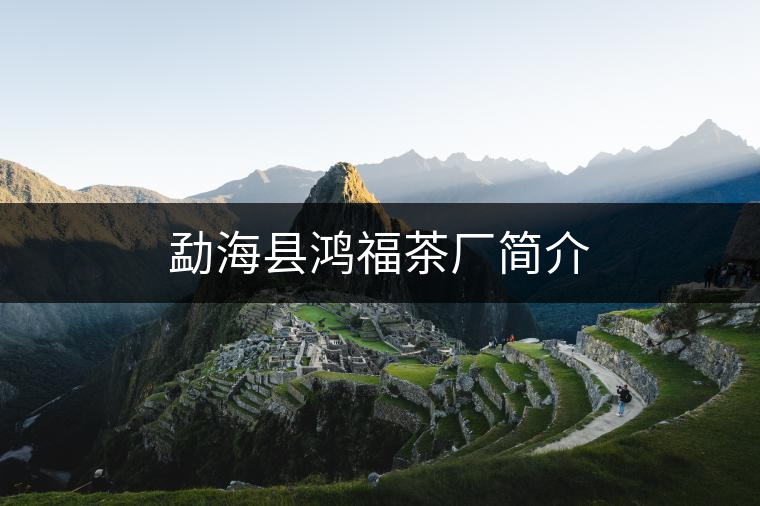 勐?？h鴻福茶廠簡介