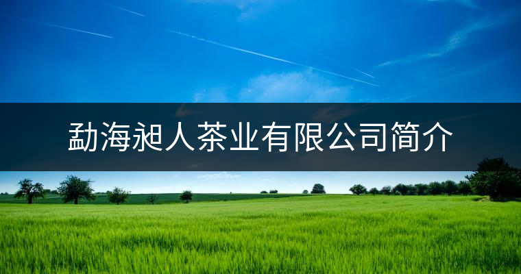 勐海昶人茶業(yè)有限公司簡介