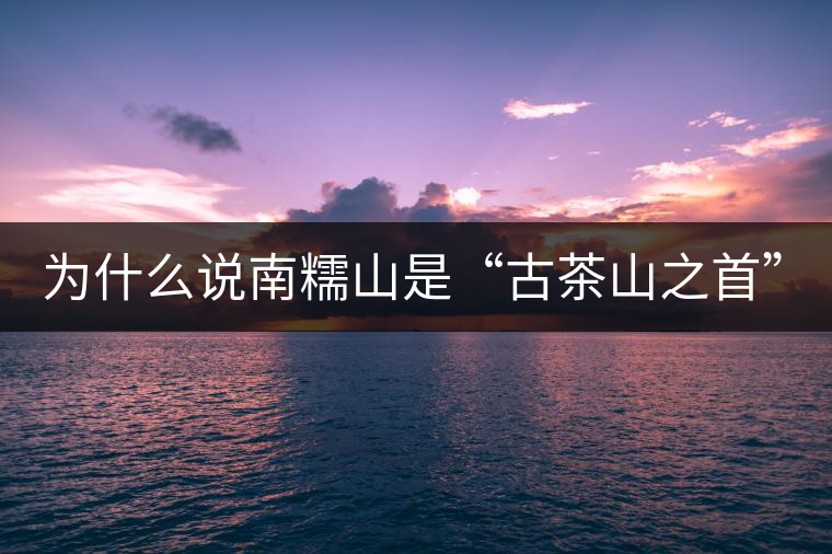 為什么說(shuō)南糯山是“古茶山之首”？