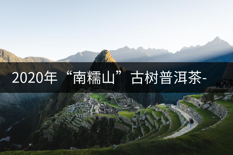 2020年“南糯山”古樹普洱茶-易武中聘號(hào)
