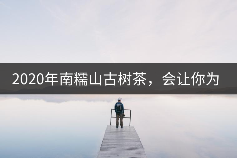 2020年南糯山古樹(shù)茶，會(huì)讓你為之著迷-易武中聘號(hào)