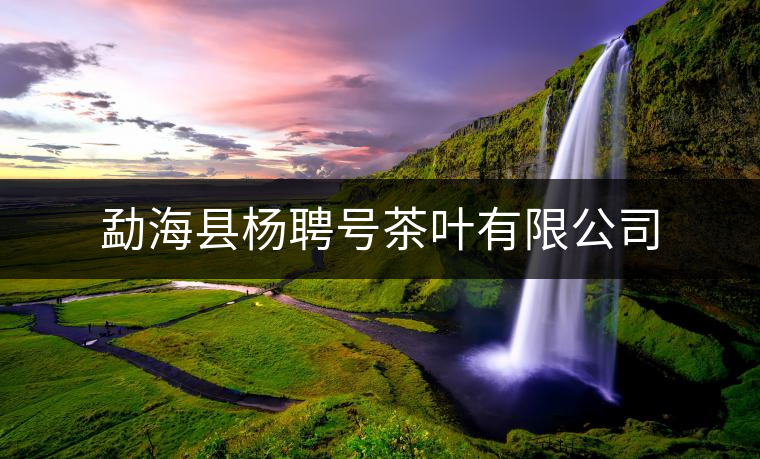 勐?？h楊聘號茶葉有限公司