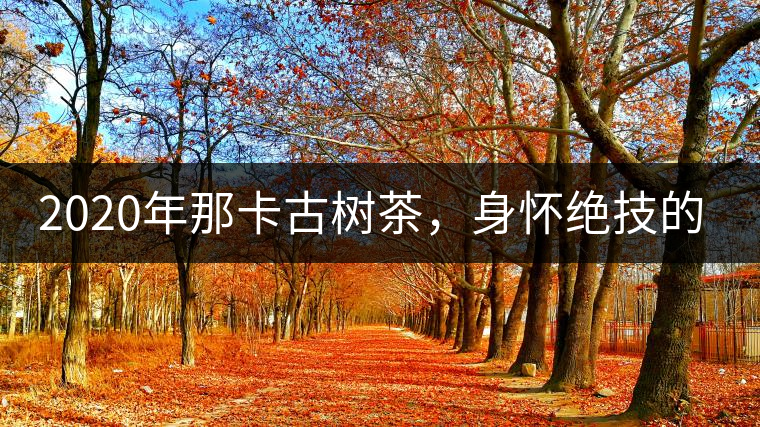 2020年那卡古樹(shù)茶，身懷絕技的“小班章” -易武中聘號(hào)