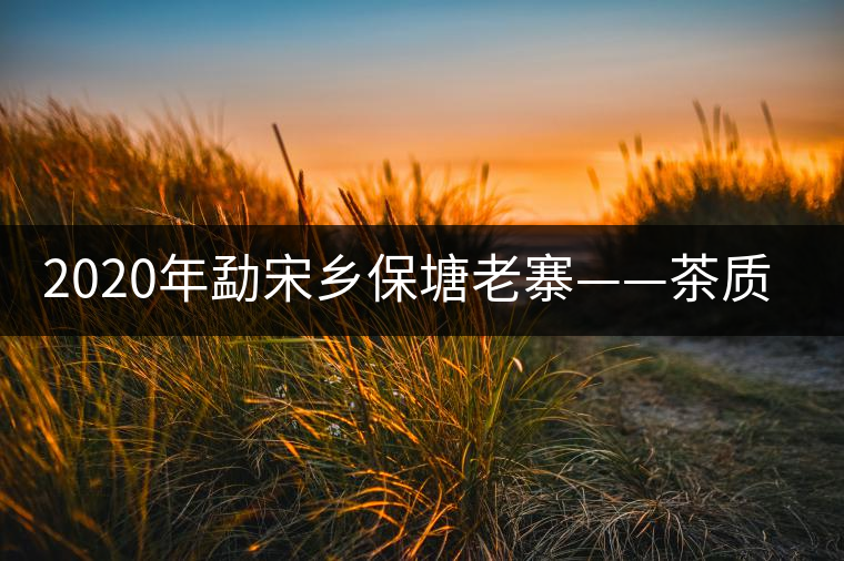 2020年勐宋鄉(xiāng)保塘老寨——茶質(zhì)厚重,一飲難忘-易武中聘號(hào)