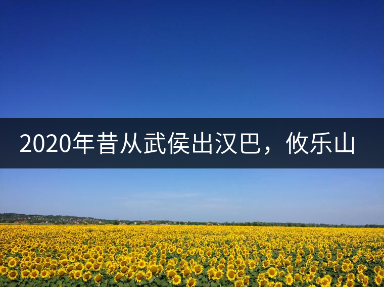 2020年昔從武侯出漢巴，攸樂山中只種茶。-易武中聘號