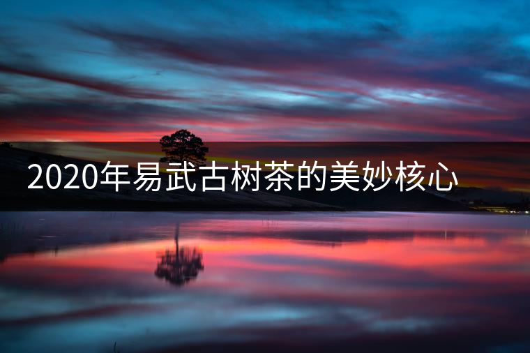 2020年易武古樹茶的美妙核心   -易武中聘號(hào)