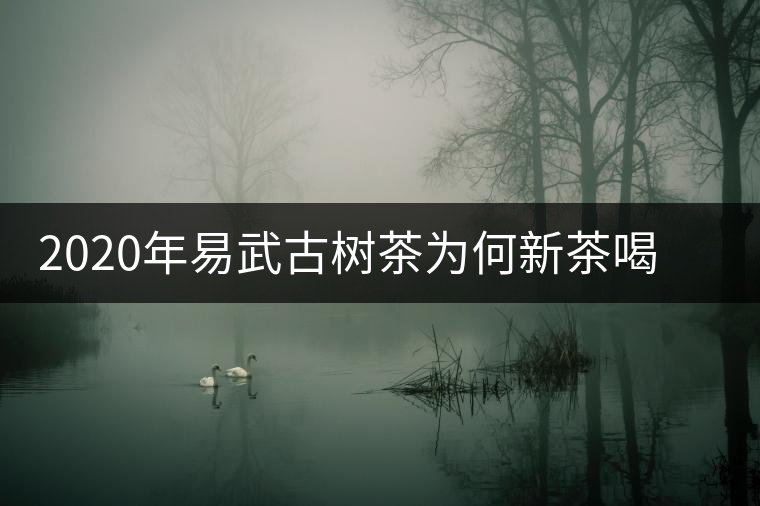 2020年易武古樹茶為何新茶喝時淡卻越放越濃？-易武中聘號