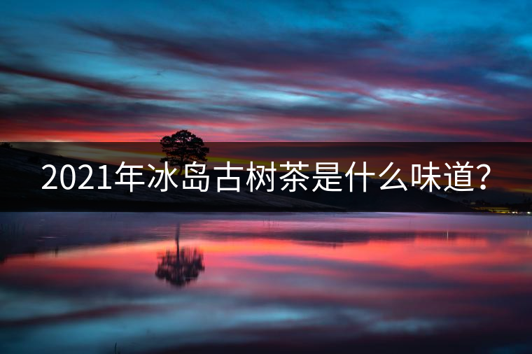 2021年冰島古樹(shù)茶是什么味道？