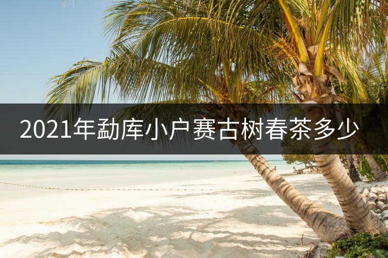 2021年勐庫(kù)小戶賽古樹春茶多少錢一公斤？