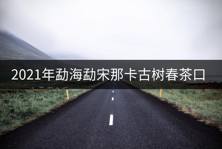 2021年勐海勐宋那卡古樹春茶口感？
