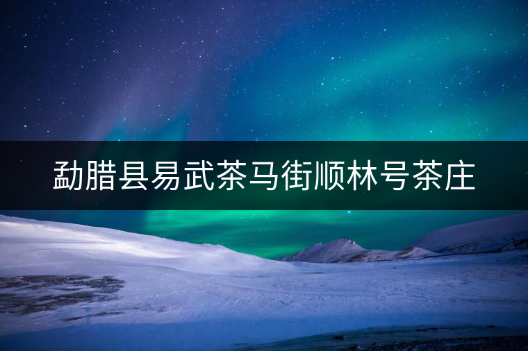 勐臘縣易武茶馬街順林號(hào)茶莊 勐臘縣易武茶馬街順林號(hào)茶莊