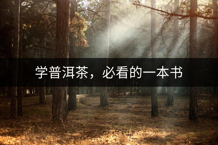 學(xué)普洱茶，必看的一本書