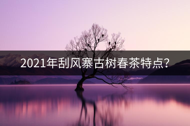 2021年刮風(fēng)寨古樹春茶特點(diǎn)？