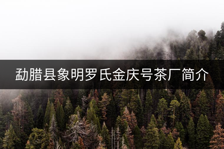 勐臘縣象明羅氏金慶號茶廠簡介 勐臘縣象明羅氏金慶號茶廠簡介