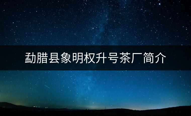 勐臘縣象明權(quán)升號(hào)茶廠簡介 勐臘縣象明權(quán)升號(hào)茶廠簡介