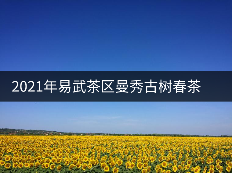 2021年易武茶區(qū)曼秀古樹春茶多少錢一公斤 2021年易武茶區(qū)曼秀古樹春茶多少錢一公斤