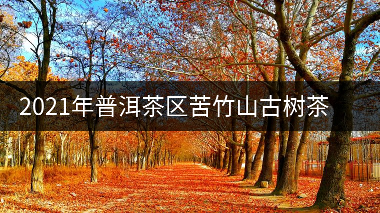 2021年普洱茶區(qū)苦竹山古樹茶春茶口感特點(diǎn) 2021年普洱茶區(qū)苦竹山古樹茶春茶口感特點(diǎn)