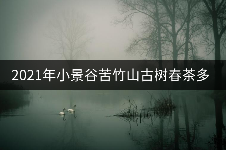 2021年小景谷苦竹山古樹春茶多少錢一公斤？