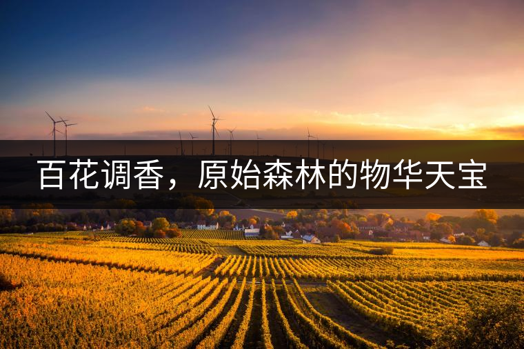 百花調香，原始森林的物華天寶