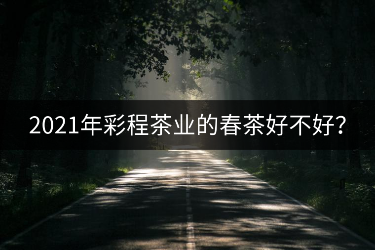 2021年彩程茶業(yè)的春茶好不好？