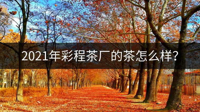 2021年彩程茶廠的茶怎么樣？