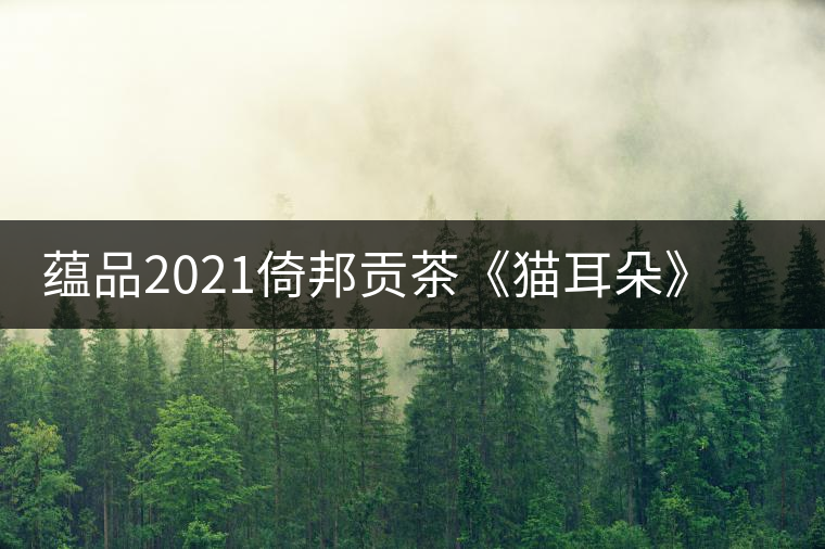 蘊(yùn)品2021倚邦貢茶《貓耳朵》古樹普洱茶生茶好喝嗎？