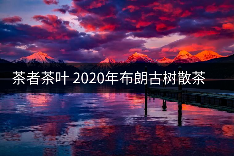 茶者茶葉 2020年布朗古樹散茶  性價比怎么樣？
